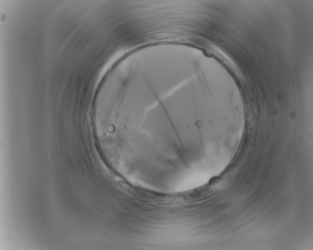 X0000075921291200610151857