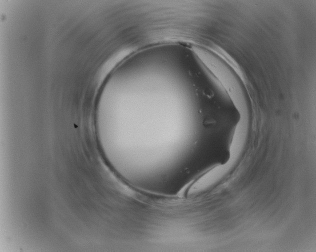 X0000075921293200610151857