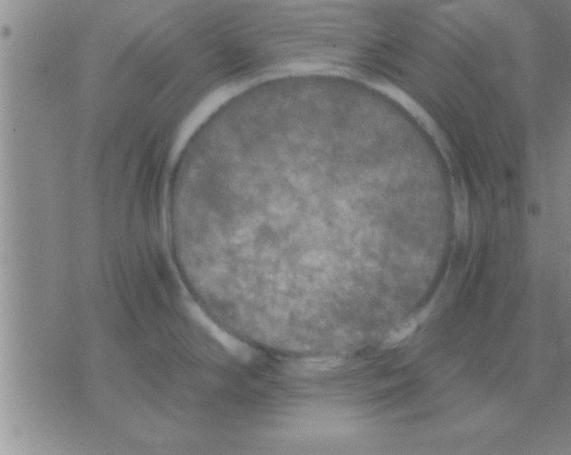 X0000075921294200610151857