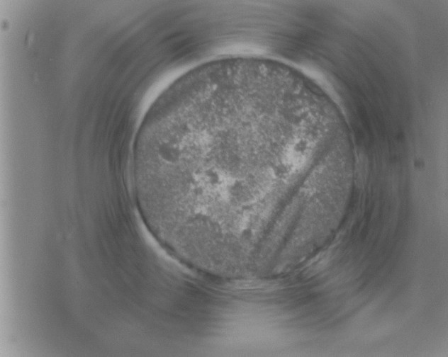 X0000075921295200610151857