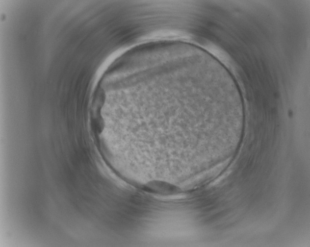 X0000075921296200610151857