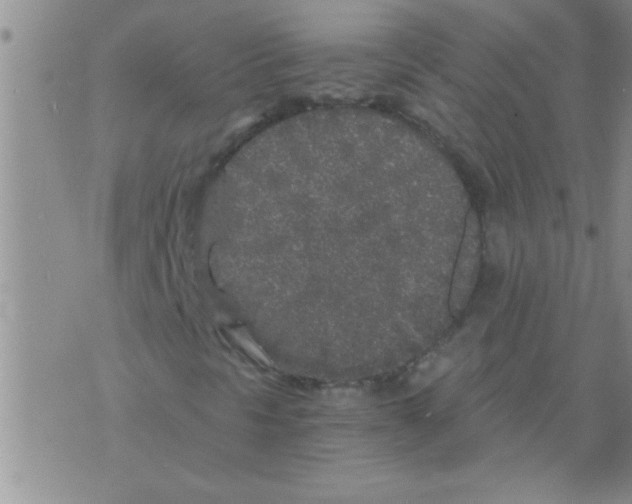 X0000075921297200610151856