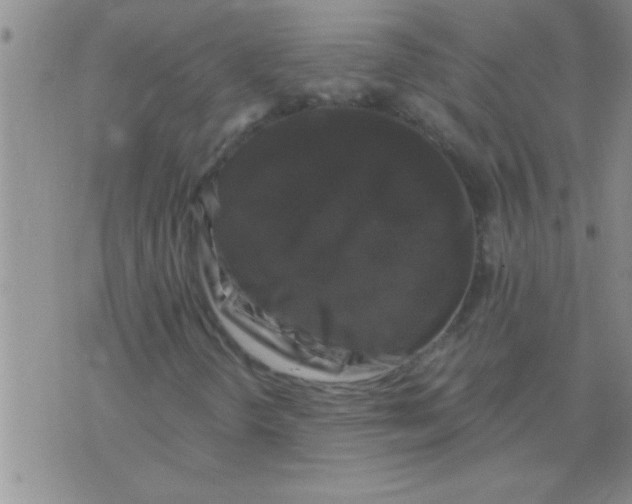 X0000075921298200610151856