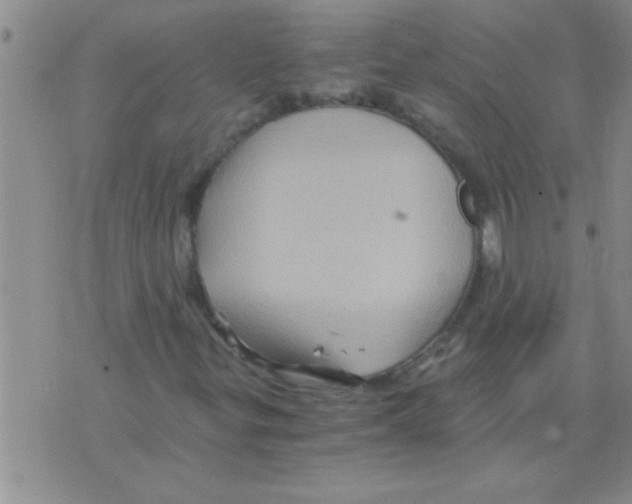 X0000075921299200610151856