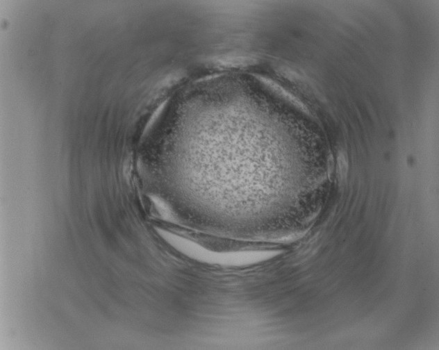 X0000075921300200610151856