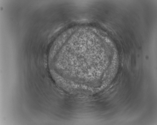 X0000075921301200610151856