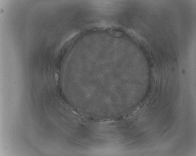 X0000075921302200610151856