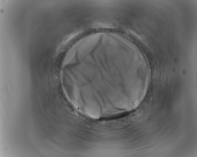 X0000075921303200610151856