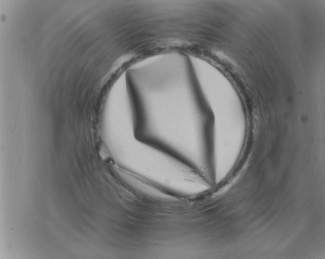 X0000075921305200610151856