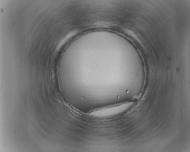 X0000075921307200610151856