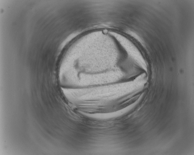 X0000075921308200610151856