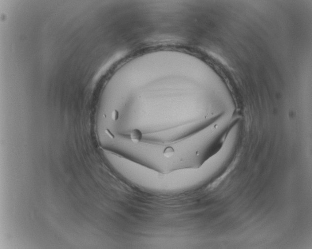 X0000075921309200610151856