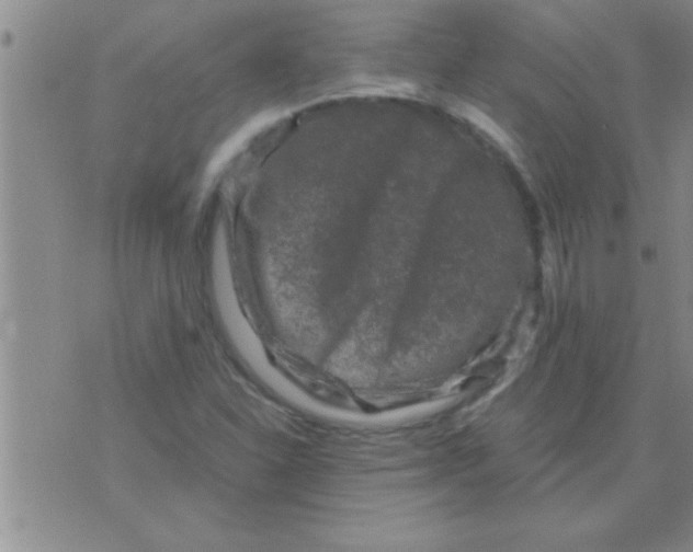 X0000075921310200610151856