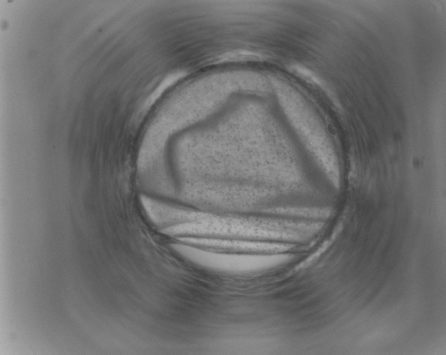 X0000075921313200610151856