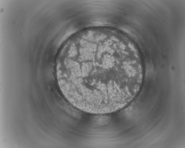 X0000075921314200610151856