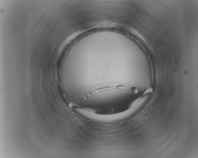 X0000075921315200610151856