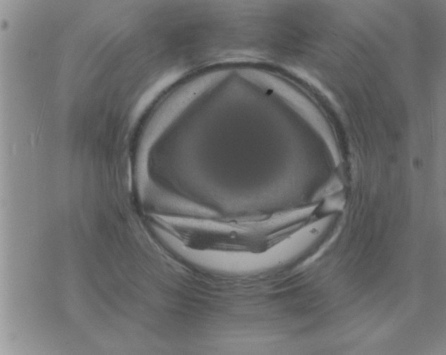 X0000075921317200610151856