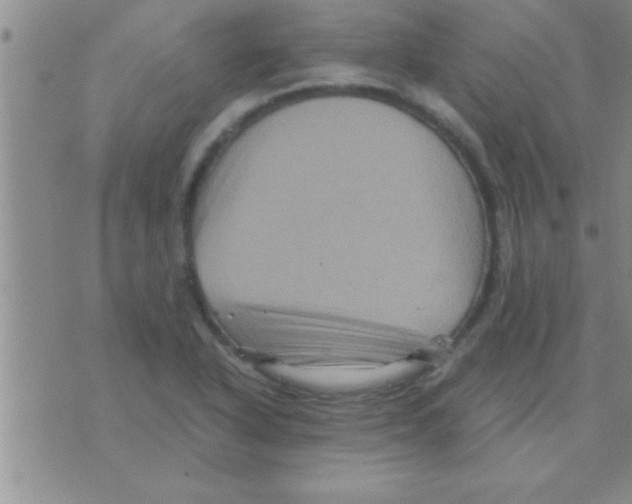 X0000075921318200610151856