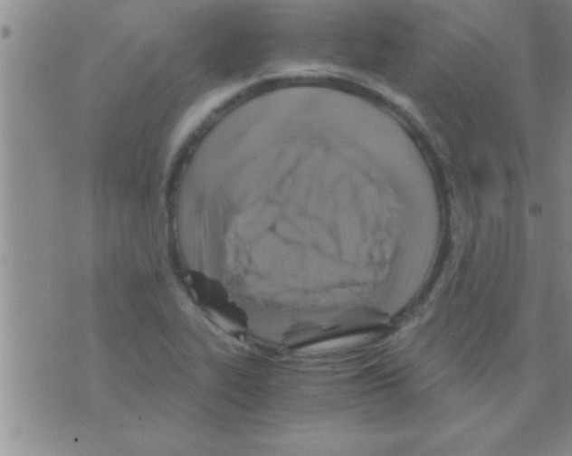 X0000075921319200610151856