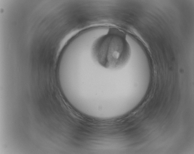 X0000075921320200610151856