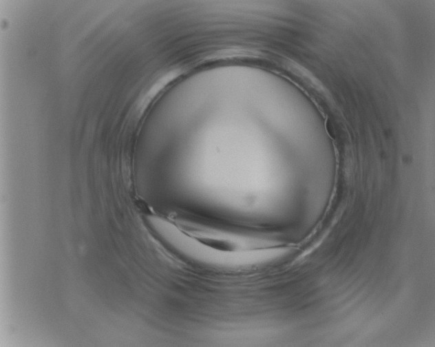 X0000075921321200610151856