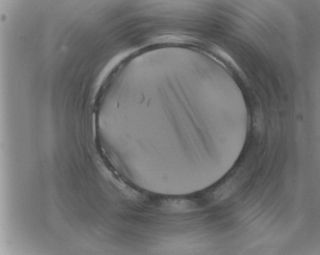 X0000075921323200610151856