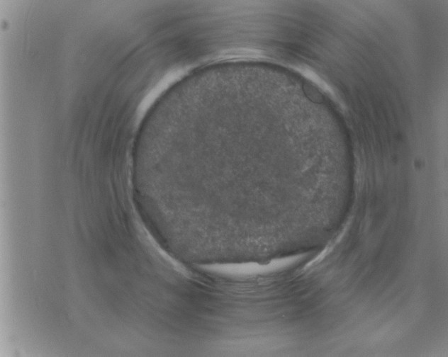 X0000075921325200610151856