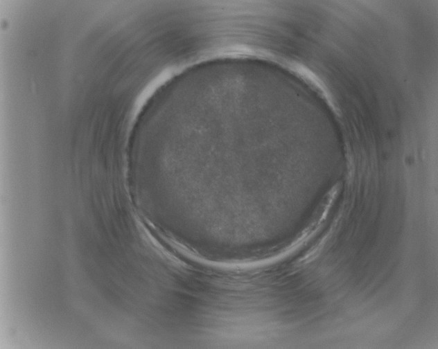 X0000075921326200610151856