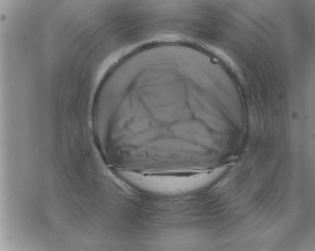 X0000075921327200610151857