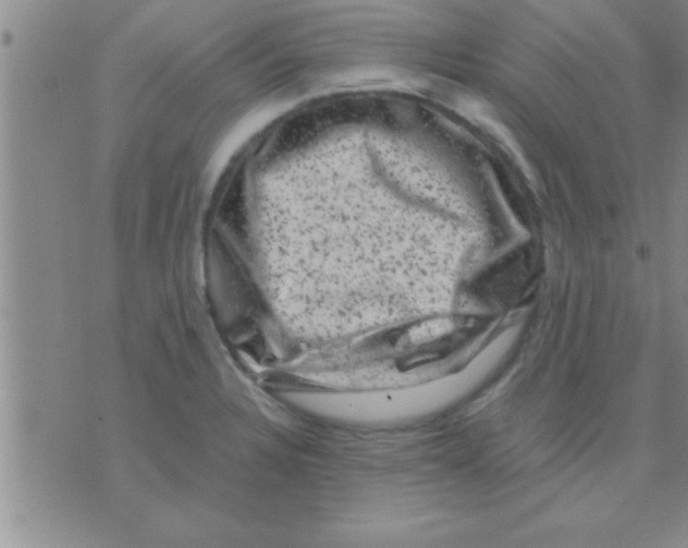 X0000075921328200610151857