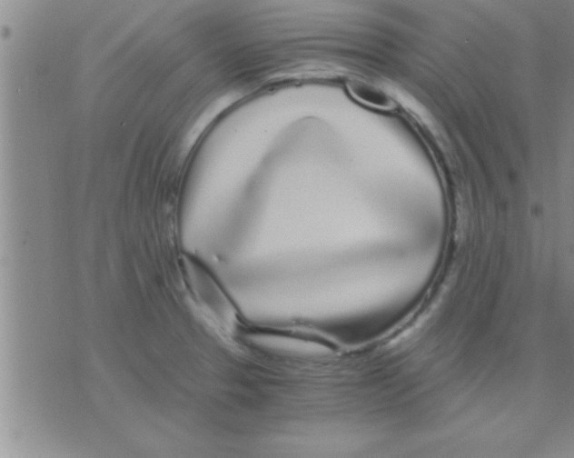 X0000075921329200610151857