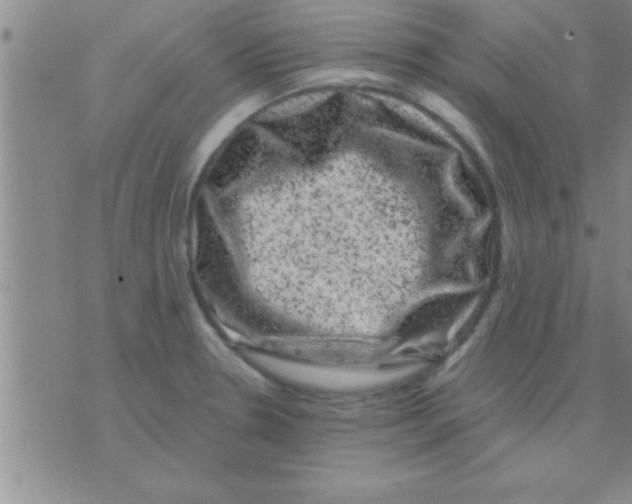 X0000075921330200610151857