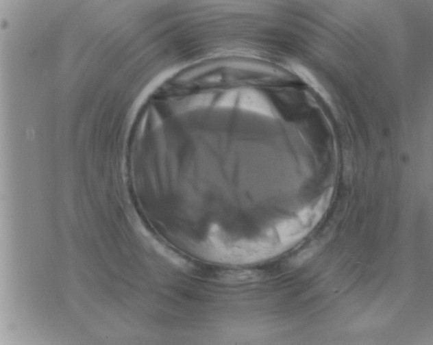 X0000075921331200610151857