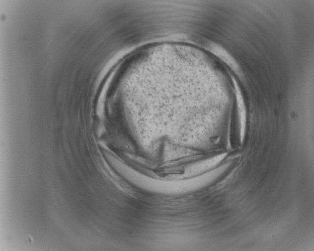 X0000075921332200610151857