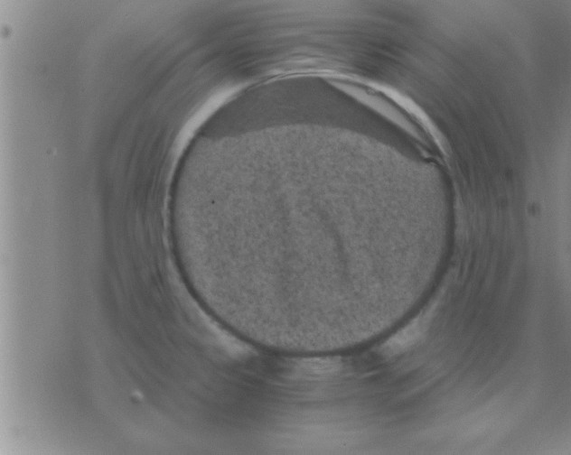 X0000075921333200610151857