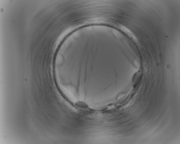 X0000075921334200610151857