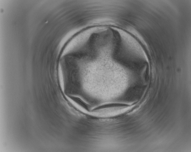 X0000075921336200610151857