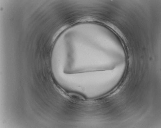 X0000075921337200610151857