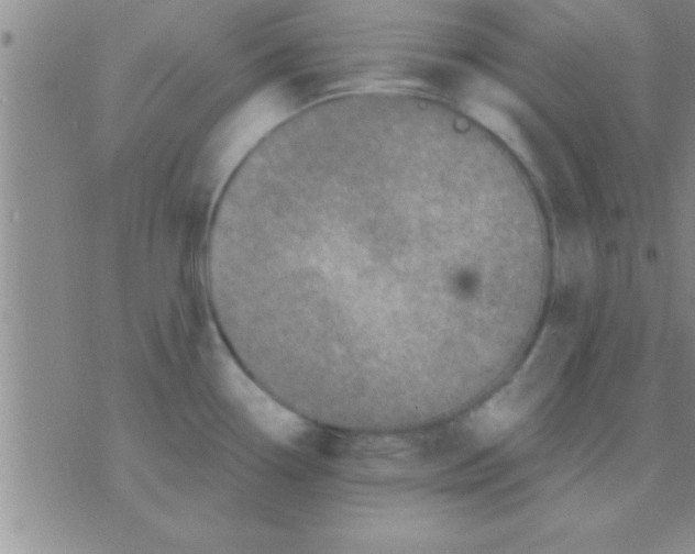 X0000075921338200610151857