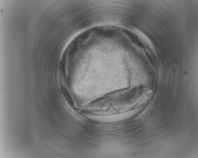 X0000075921340200610151857