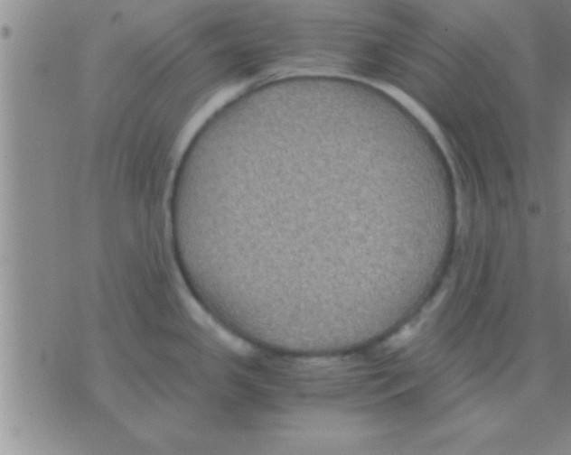 X0000075921341200610151857