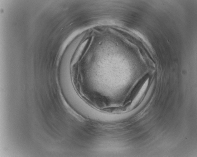 X0000075921342200610151857