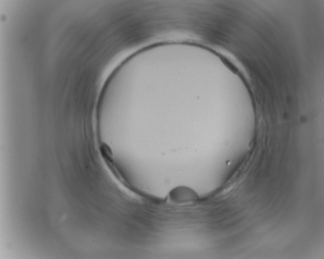 X0000075921343200610151857