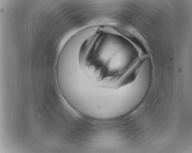 X0000075921344200610151857