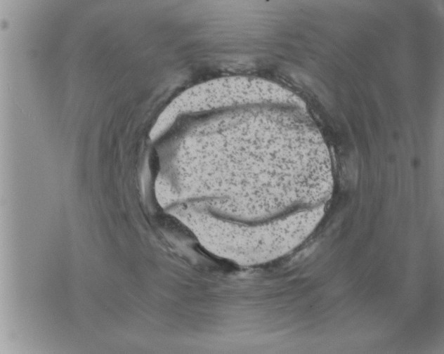 X0000075921345200610151856