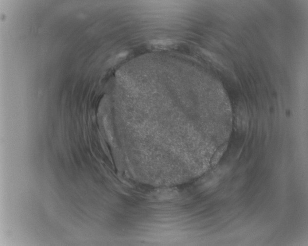 X0000075921346200610151856