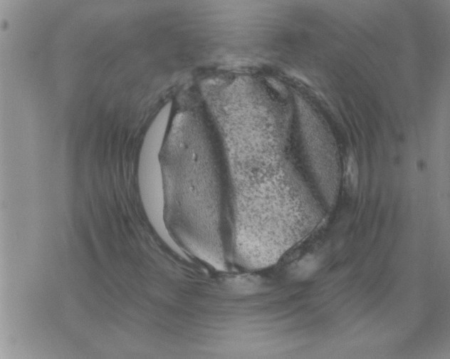 X0000075921348200610151856