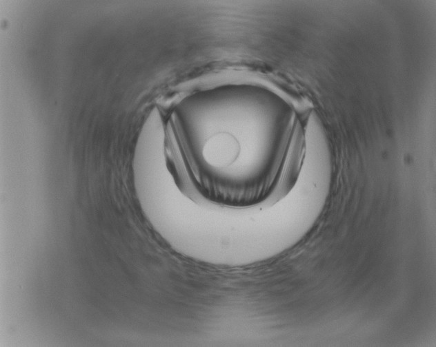 X0000075921349200610151856