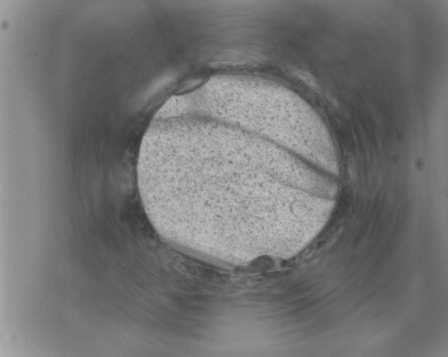 X0000075921350200610151856