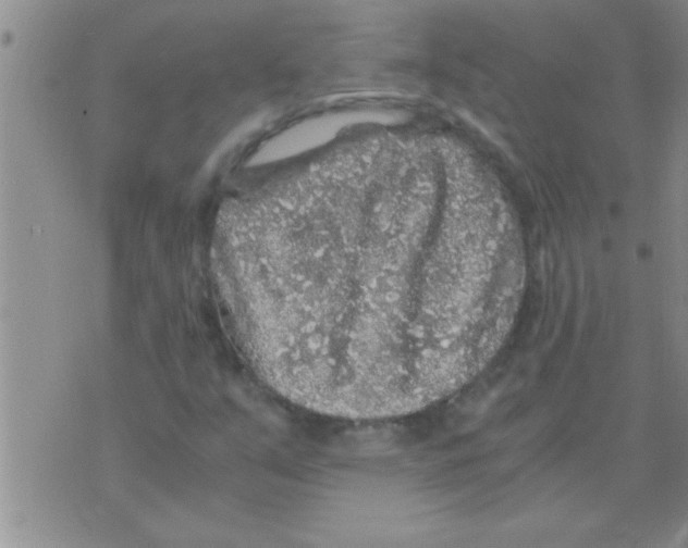 X0000075921351200610151856